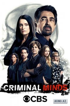 Мыслить как преступник (12 сезон) смотреть онлайн