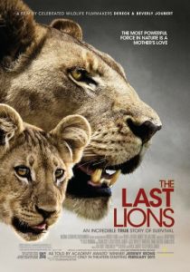 Постер Последние львы
